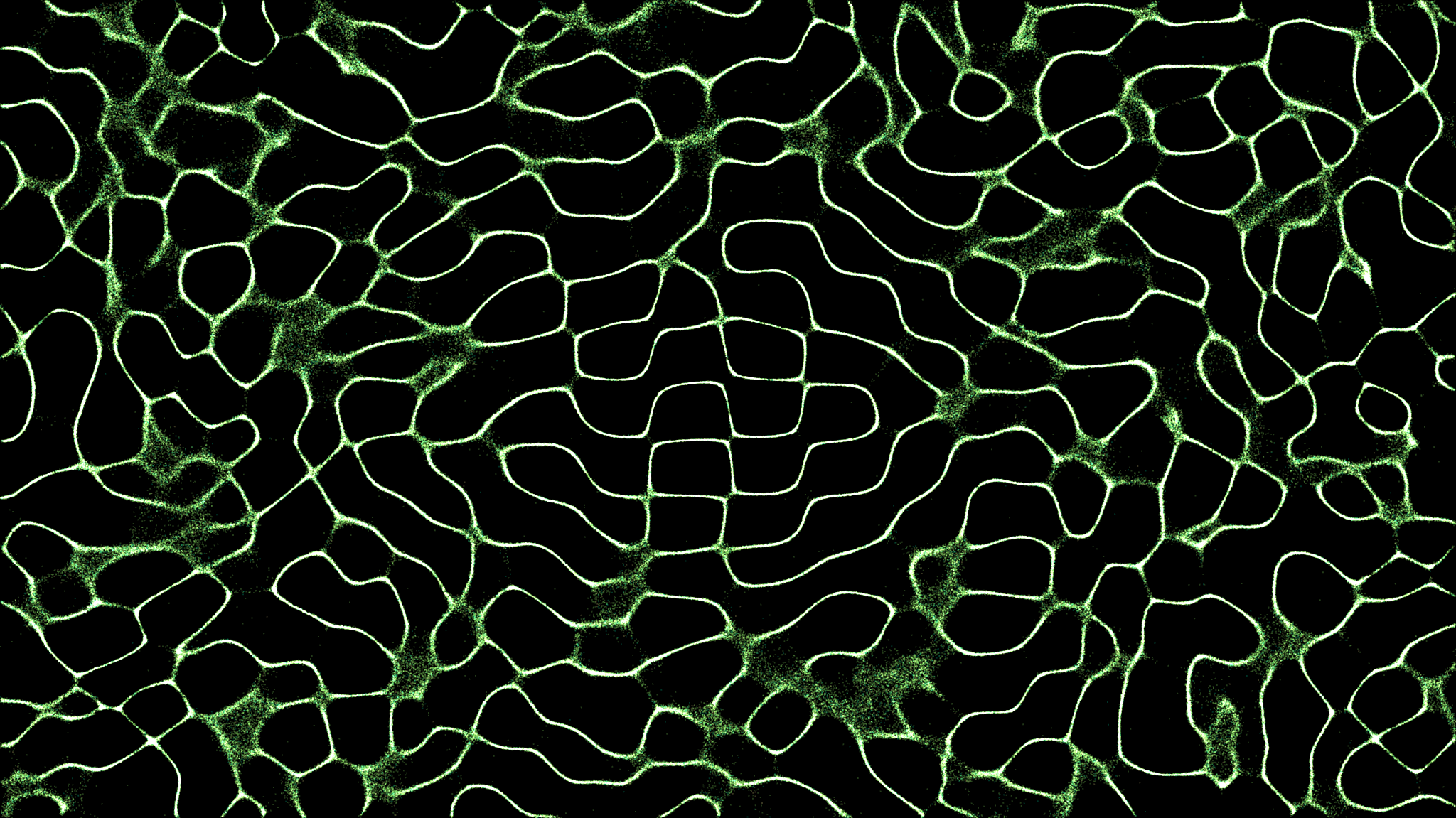 The Wells Are All Dry: Regen Web3 at a Crossroads