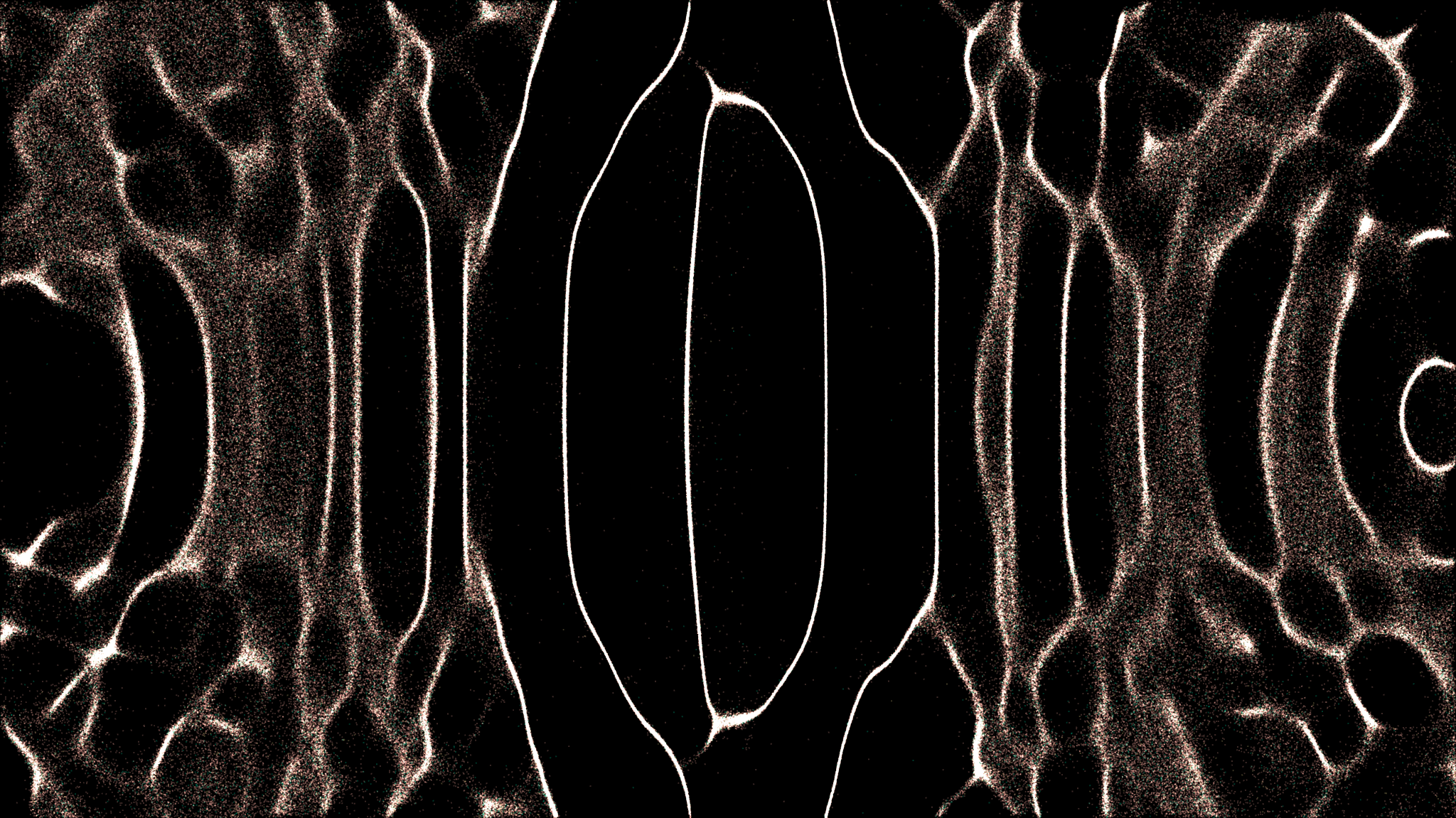 TheDAO Security Fund